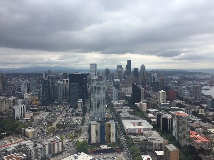 Nations Roof Picture 2