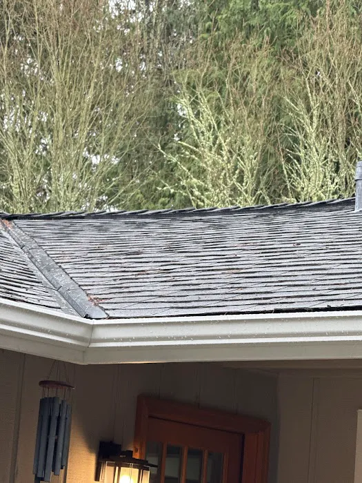 Four Seasons Roof & Remodel Service Picture 1