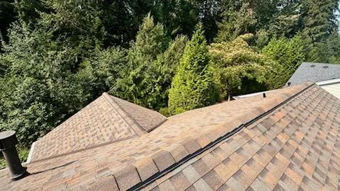 Sherpa Roofing & Construction Picture 1