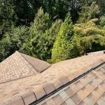 Sherpa Roofing & Construction