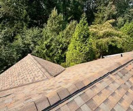 Sherpa Roofing & Construction