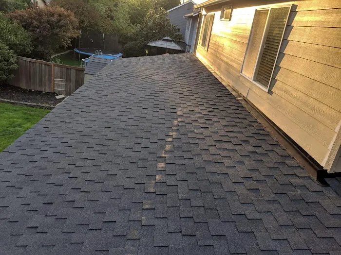 Solomon Roof, Inc. Picture 2