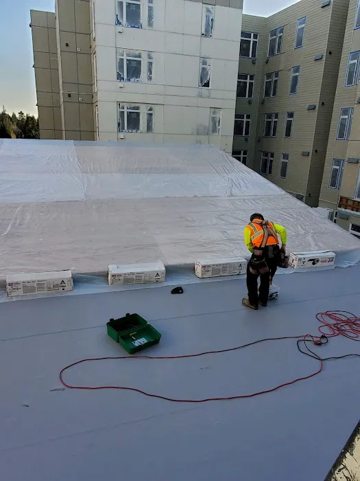 SQI Commercial Roofing Inc Picture 7
