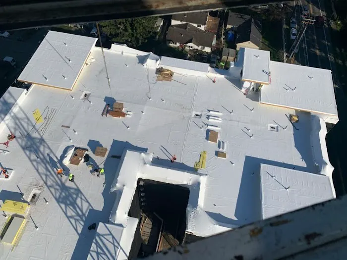 SQI Commercial Roofing Inc Picture 4