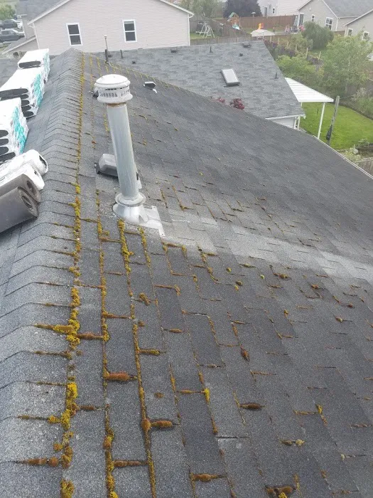 SALGADO'S ROOFING LLC Picture 6