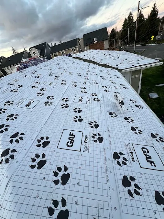 Gutter & Roof Solutions Picture 8