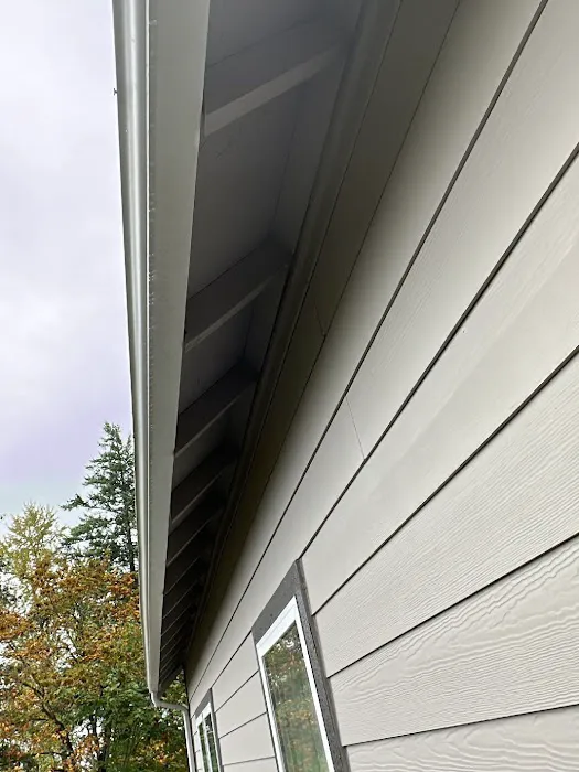 Gutter & Roof Solutions Picture 7