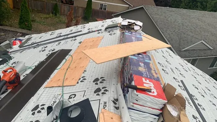 Gutter & Roof Solutions Picture 5