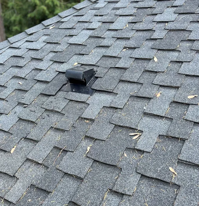 Gutter & Roof Solutions Picture 6