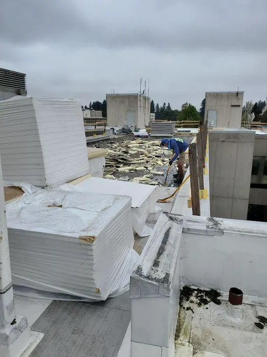 Signature Roof Service Picture 7