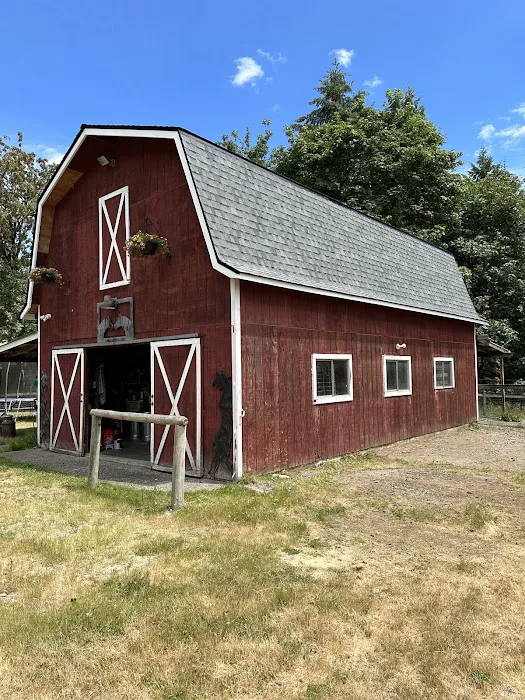 Tecate Roofing Service & Contracting LLC Picture 2