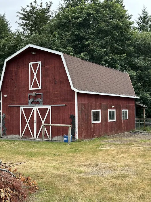 Tecate Roofing Service & Contracting LLC Picture 6