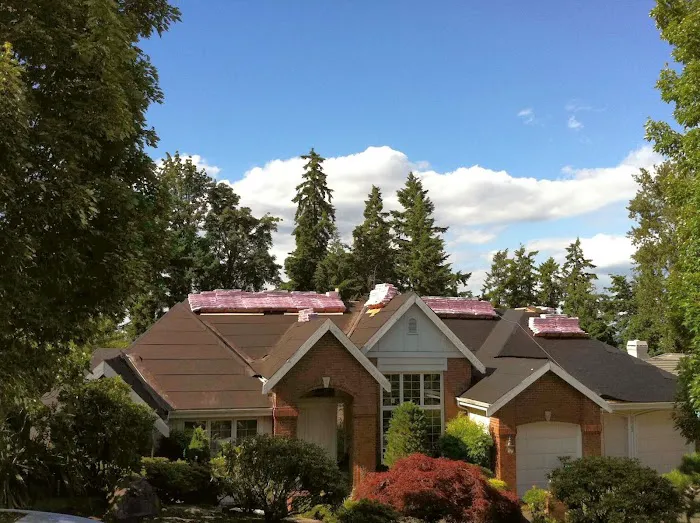 Roof Pros NW Picture 6