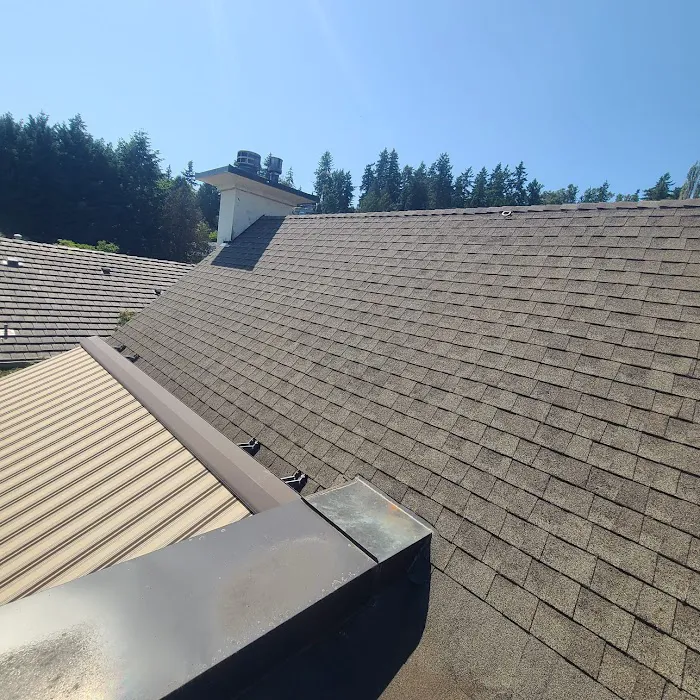 Seattle Pros Picture 2