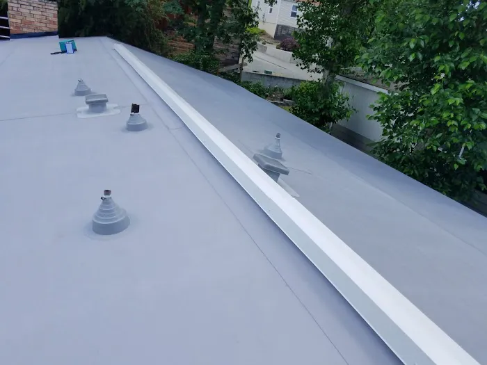 Seattle Pros Picture 10