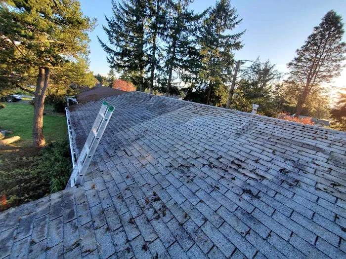 Best Seattle Roofers Picture 8