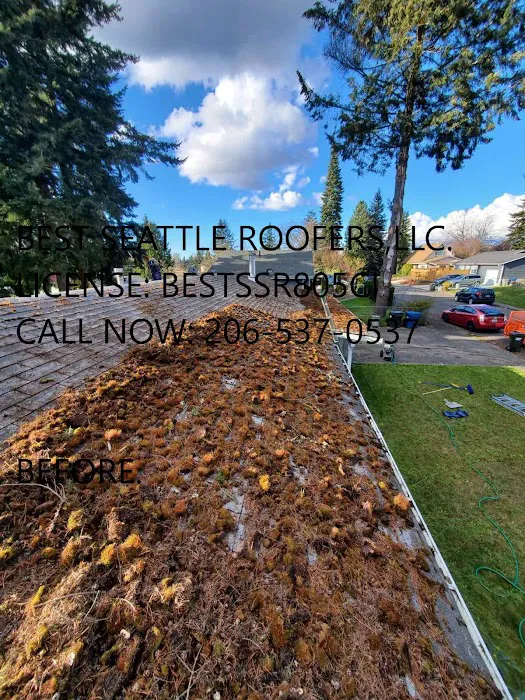 Best Seattle Roofers Picture 9