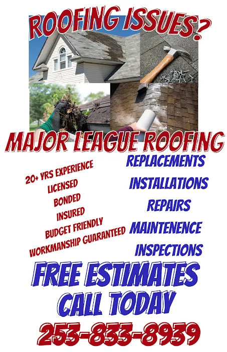 MAJOR LEAGUE ROOFING Picture 9