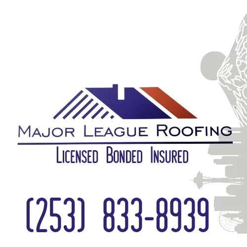 MAJOR LEAGUE ROOFING Picture 6