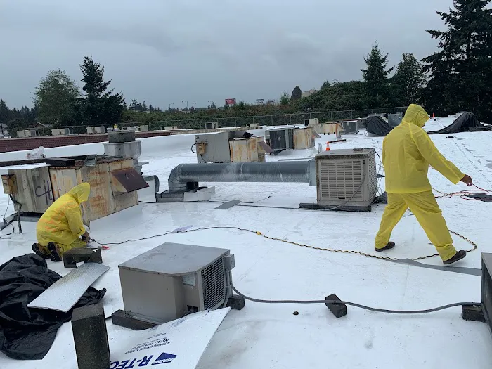 W Roofing & Decking Picture 5