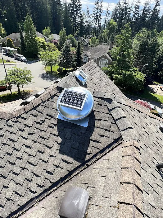 Robert and Son Roofing Services Picture 3