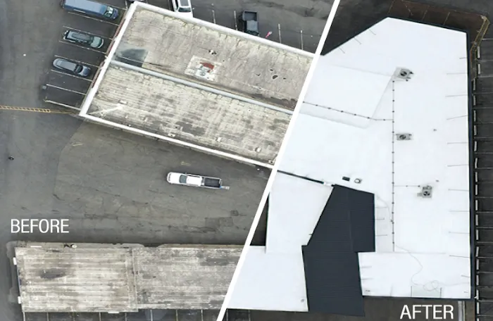 Washington Weather Shield Picture 7