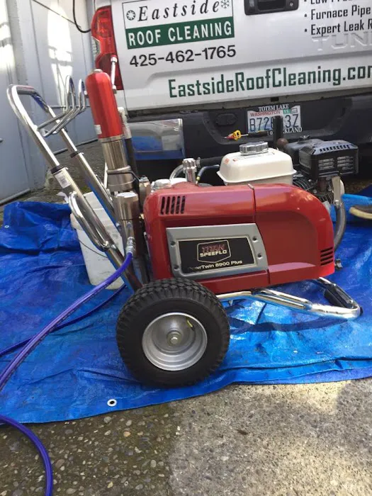 Eastside Roof Cleaning Picture 6