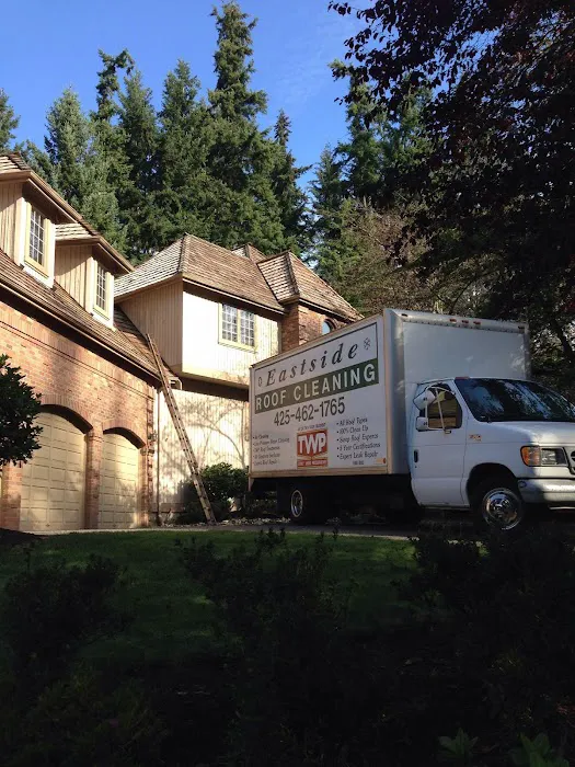 Eastside Roof Cleaning Picture 8