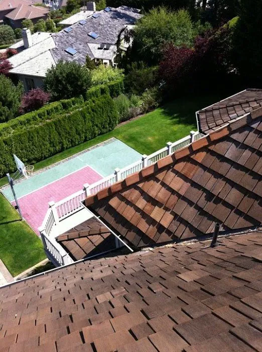 Eastside Roof Cleaning Picture 1