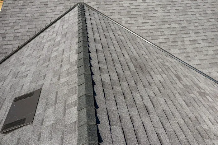 True Shield Roofing Picture 6