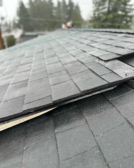 RAIN STATE ROOFING Picture 5