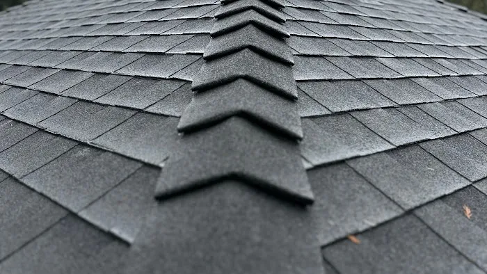 RAIN STATE ROOFING Picture 7