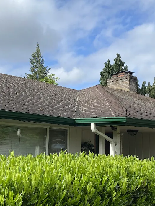 Vanguard Roofing LLC Picture 11