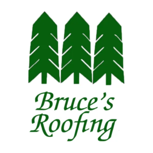 Bruce's Roofing LLC Picture 6