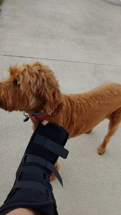 Evergreen roofing experts Picture 3