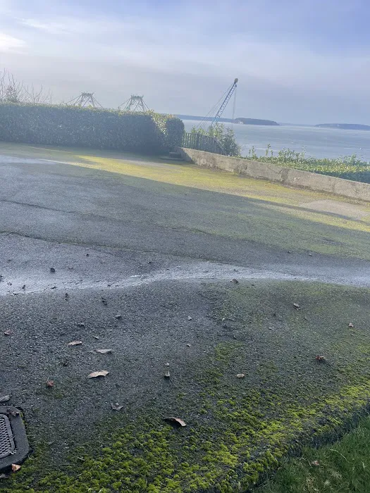 J&J Roof Cleaning Services LLC Picture 7