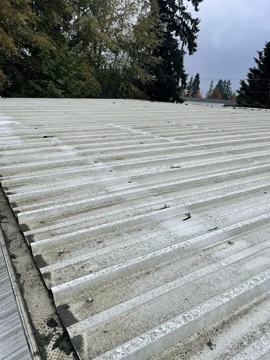 J&J Roof Cleaning Services LLC Picture 4