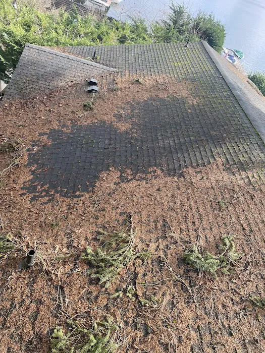 J&J Roof Cleaning Services LLC Picture 2