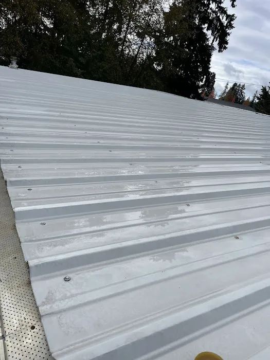 J&J Roof Cleaning Services LLC Picture 6