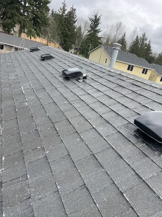 J&J Roof Cleaning Services LLC Picture 10