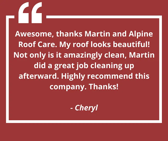 Alpine Roof Care Picture 5