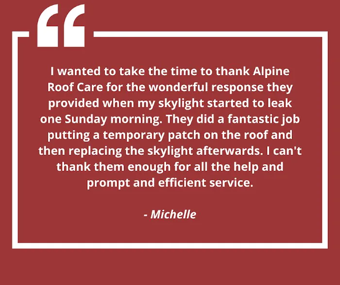 Alpine Roof Care Picture 9