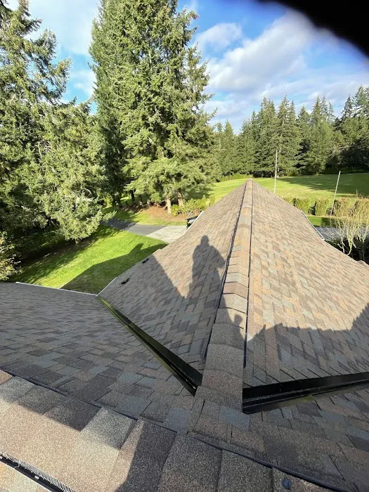 Alpine Roof Care Picture 1