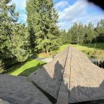 Alpine Roof Care