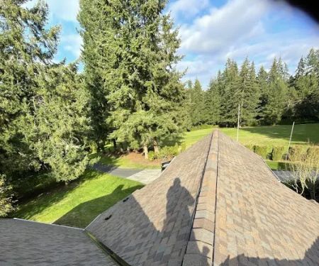 Alpine Roof Care