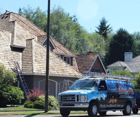 Pro-Long Roof Care