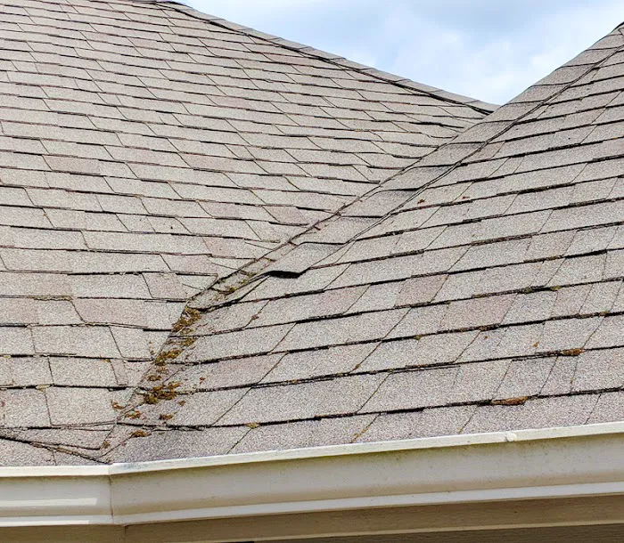 Pro-Long Roof Care Picture 3