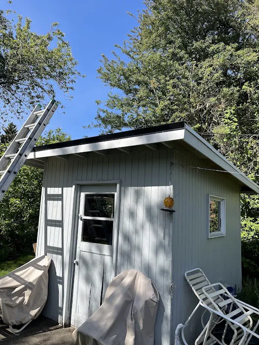 Pro-Long Roof Care Picture 4