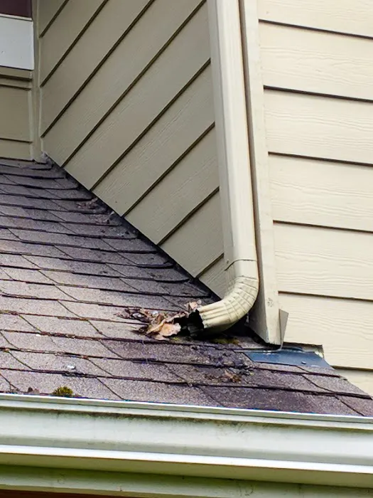 Pro-Long Roof Care Picture 5