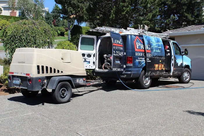 Pro-Long Roof Care Picture 10